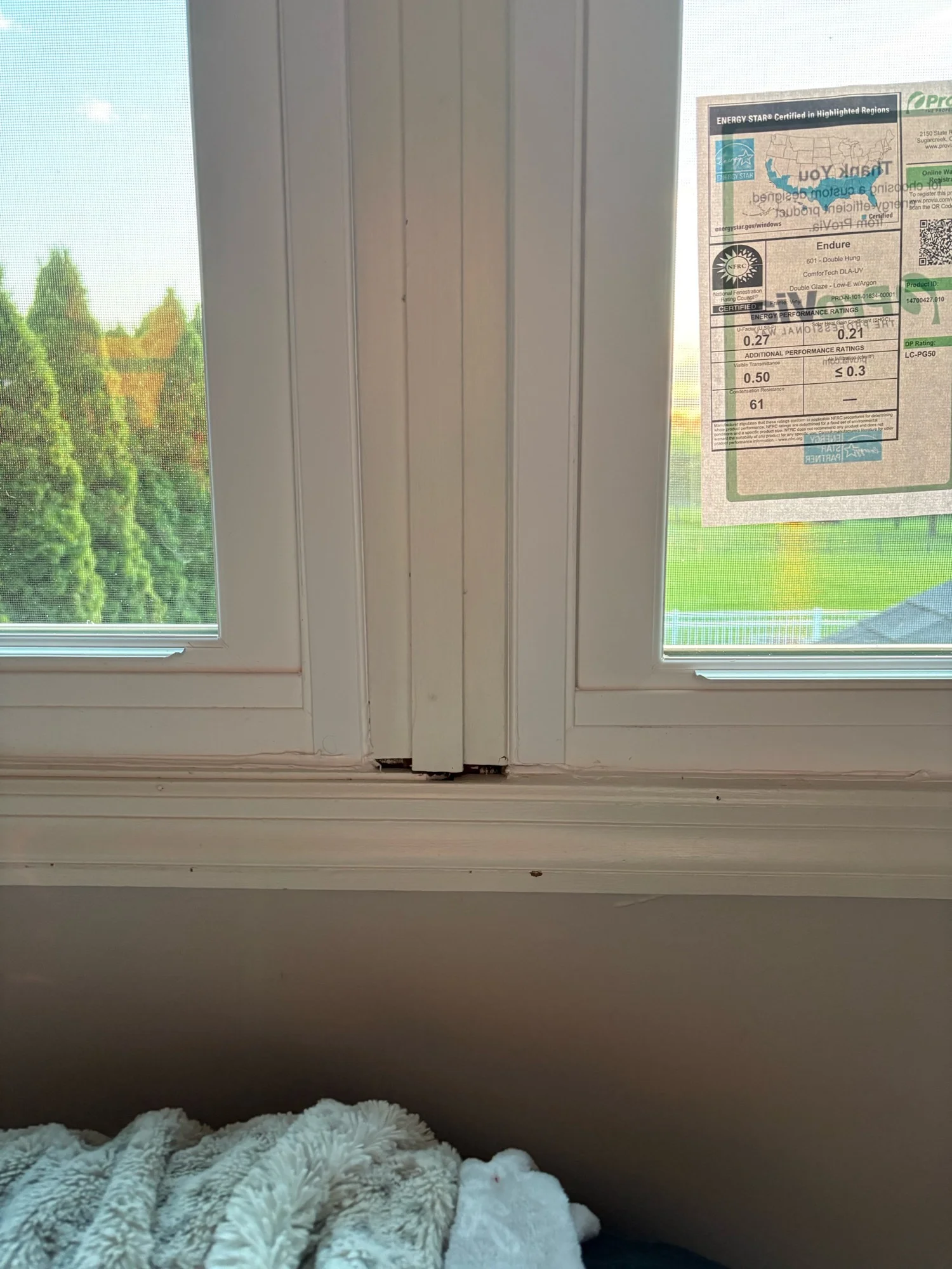 Hamilton ProVia Windows 2026 — photo 2