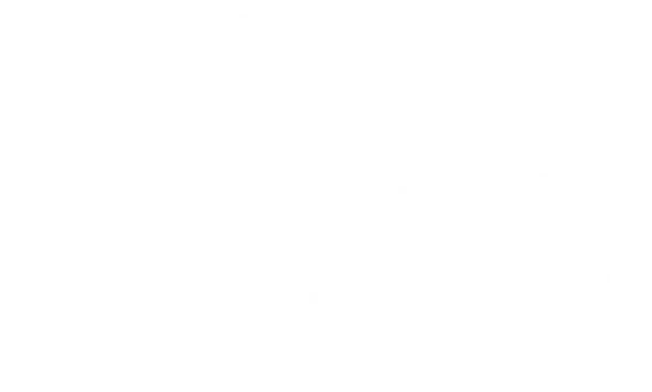 Wilco Gutters